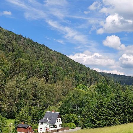 Ferienhaus Rosemarie Erlbach Vogtland Екстер'єр фото