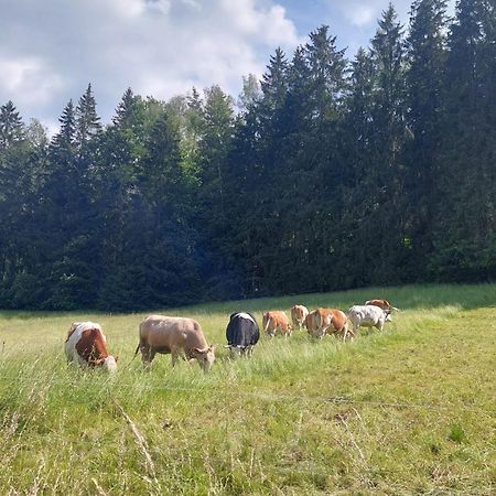 Ferienhaus Rosemarie Erlbach Vogtland Екстер'єр фото