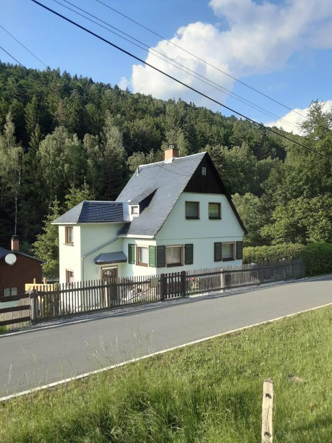 Ferienhaus Rosemarie Erlbach Vogtland Екстер'єр фото