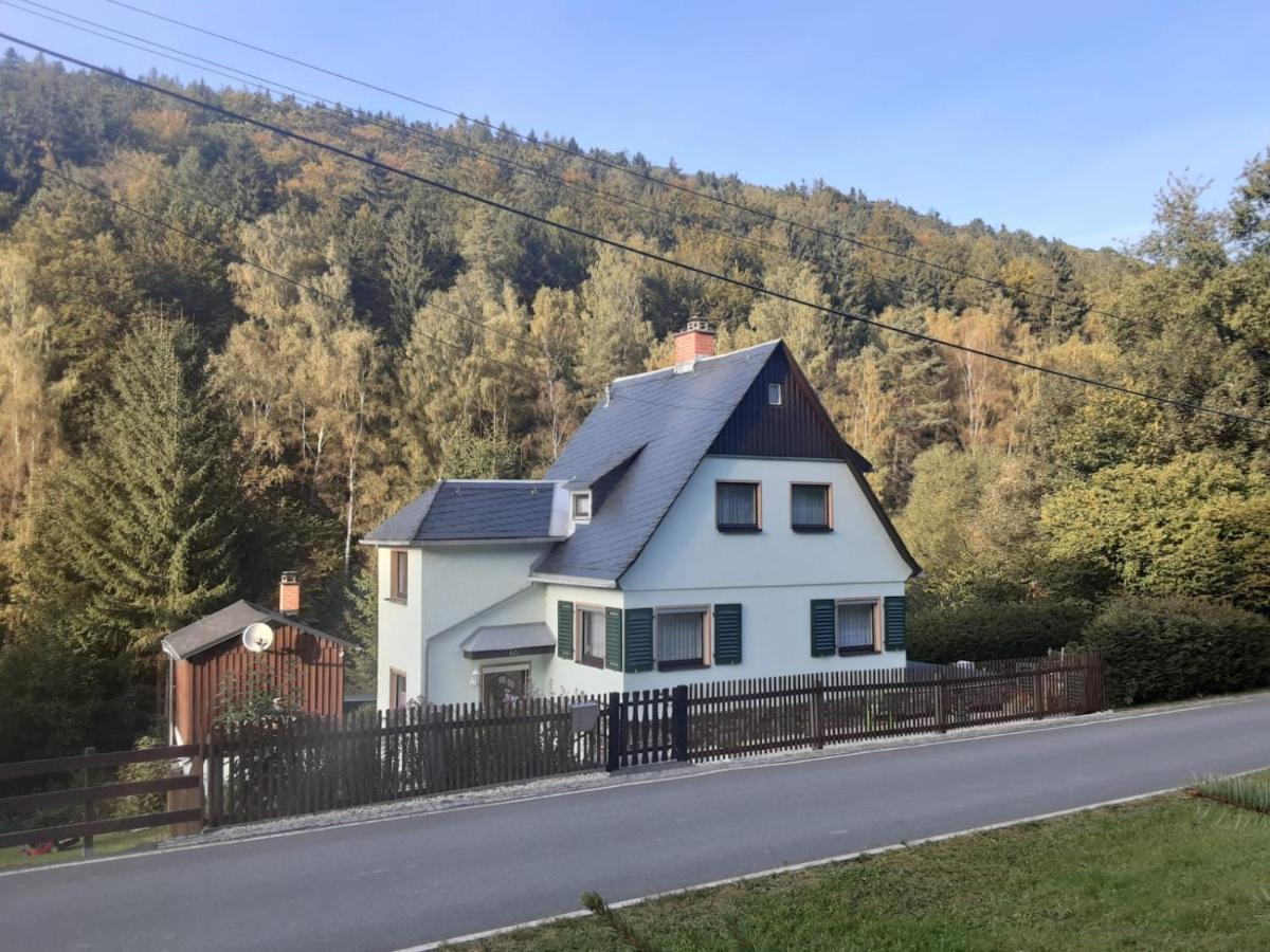 Ferienhaus Rosemarie Erlbach Vogtland Екстер'єр фото
