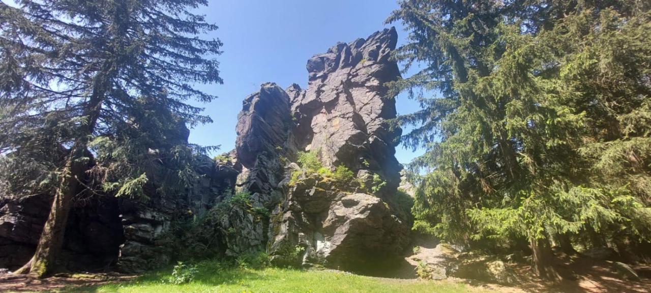 Ferienhaus Rosemarie Erlbach Vogtland Екстер'єр фото