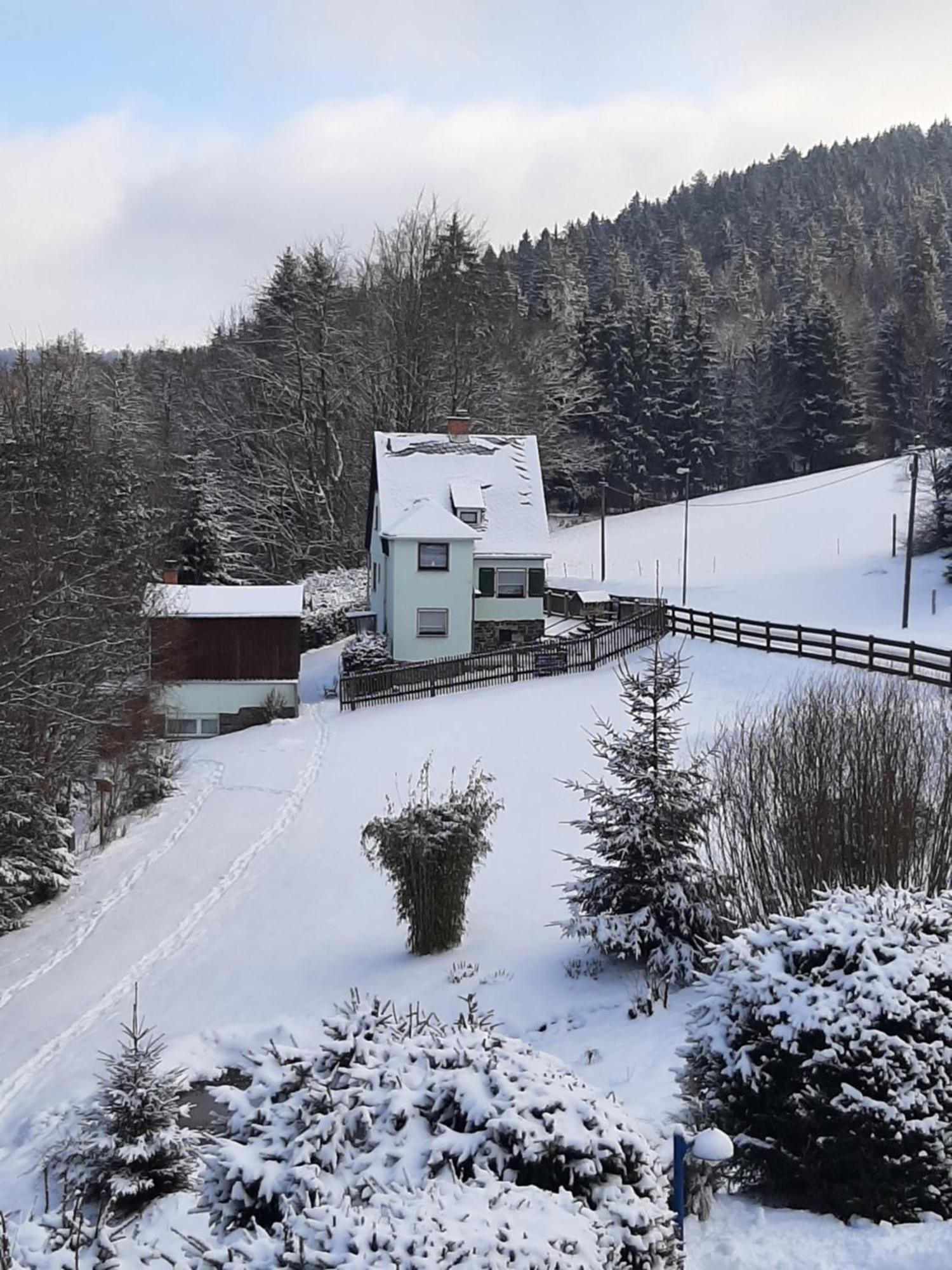 Ferienhaus Rosemarie Erlbach Vogtland Екстер'єр фото